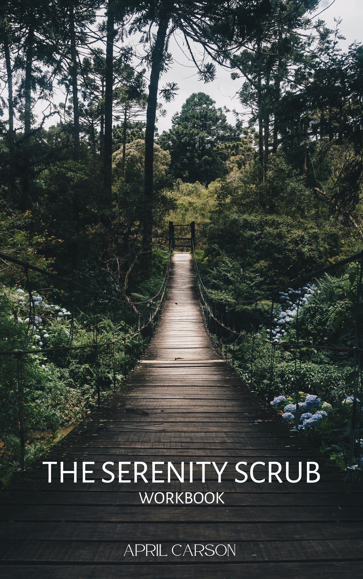 The Serenity Scrub Workbook (E-Book)