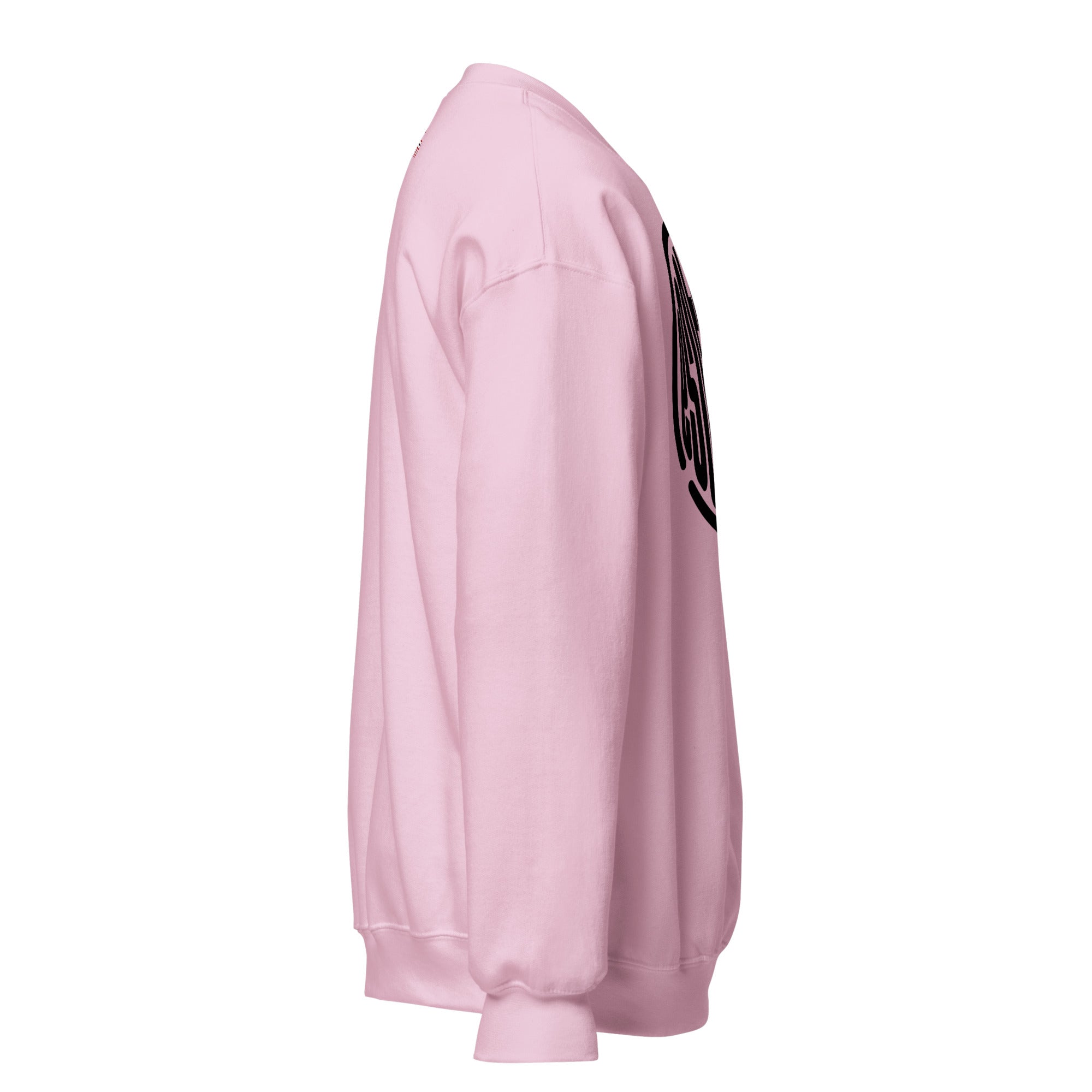 Esoteric I Unisex Sweatshirt {{TRADEMARKED}}™️