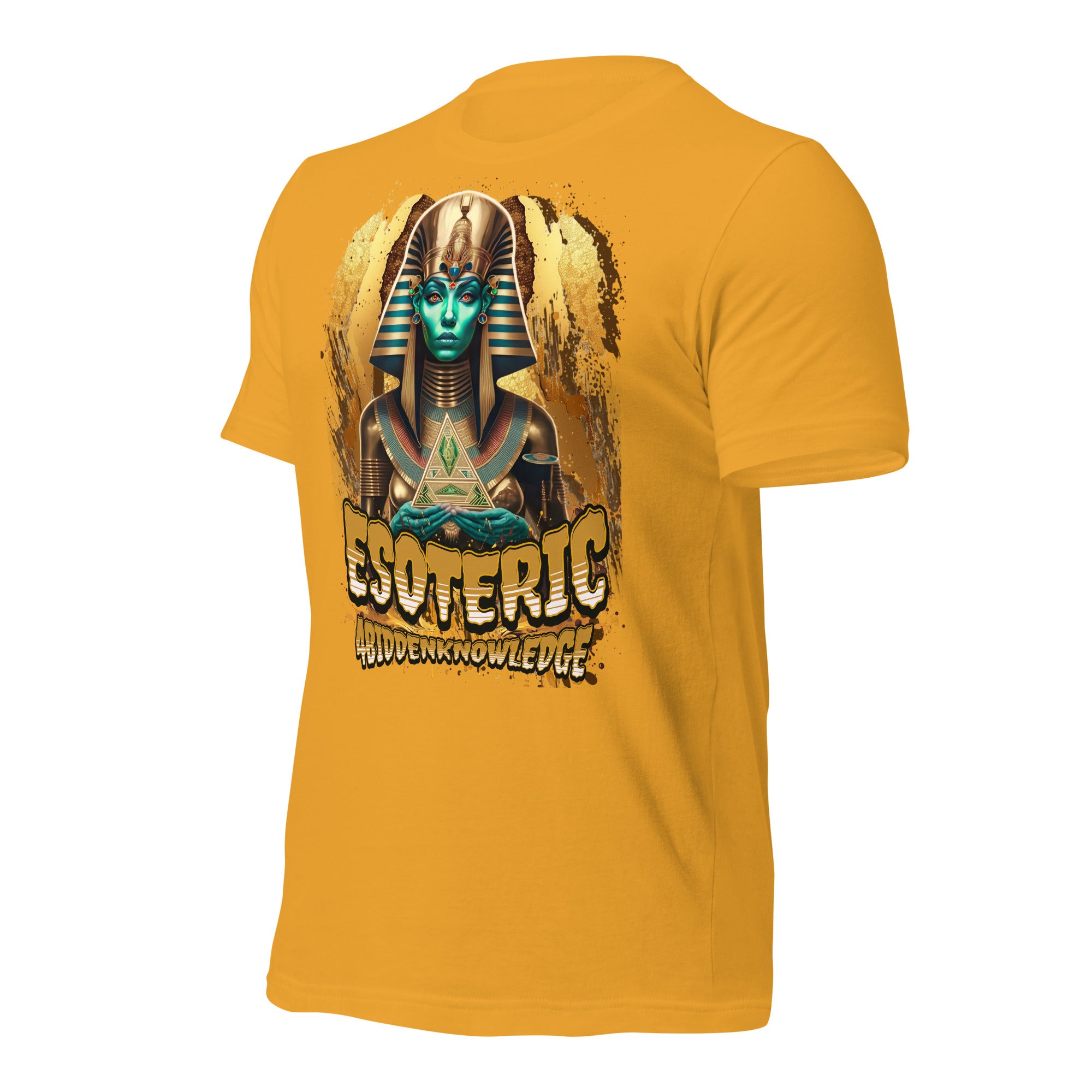 Ancient Wisdom Unisex t-shirt {{TRADEMARKED}}™️