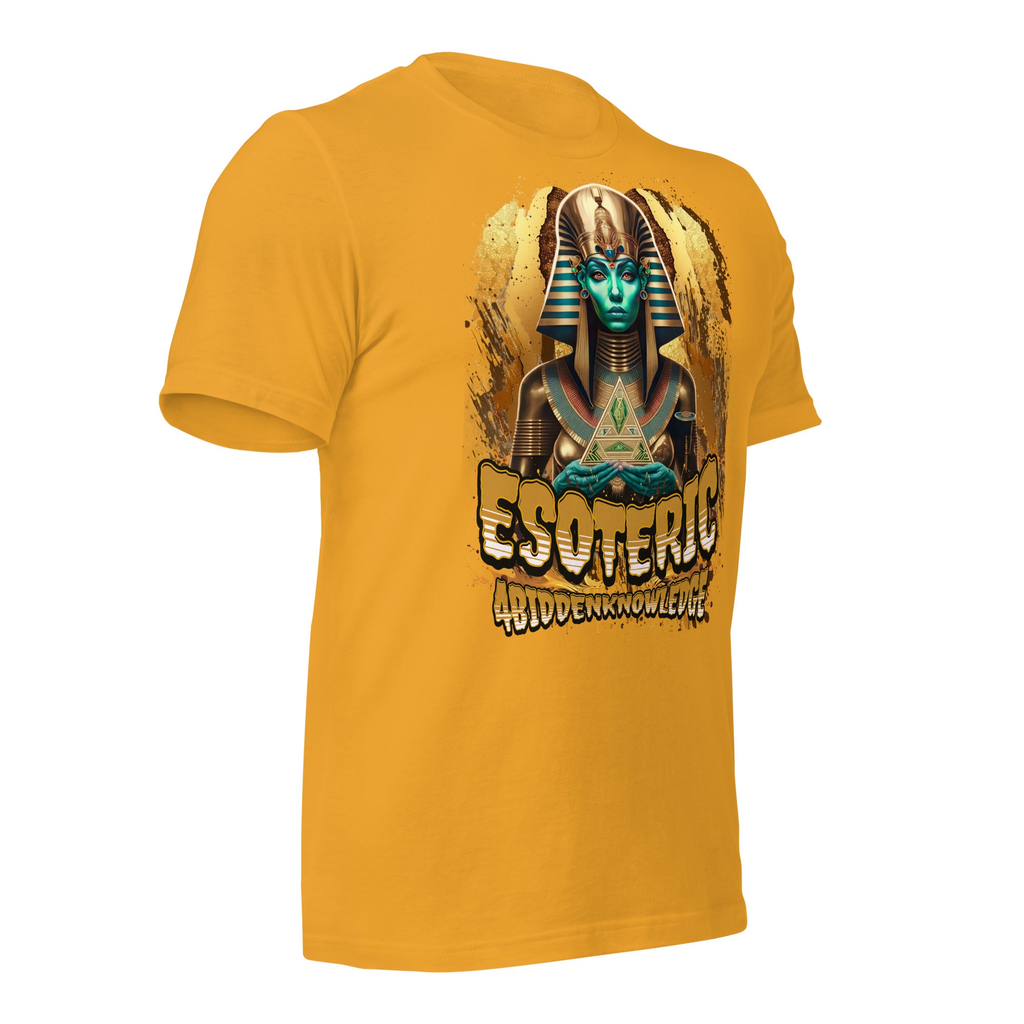 Ancient Wisdom Unisex t-shirt {{TRADEMARKED}}™️