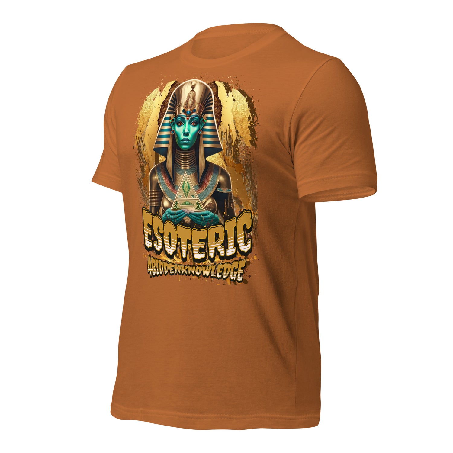 Ancient Wisdom Unisex t-shirt {{TRADEMARKED}}™️