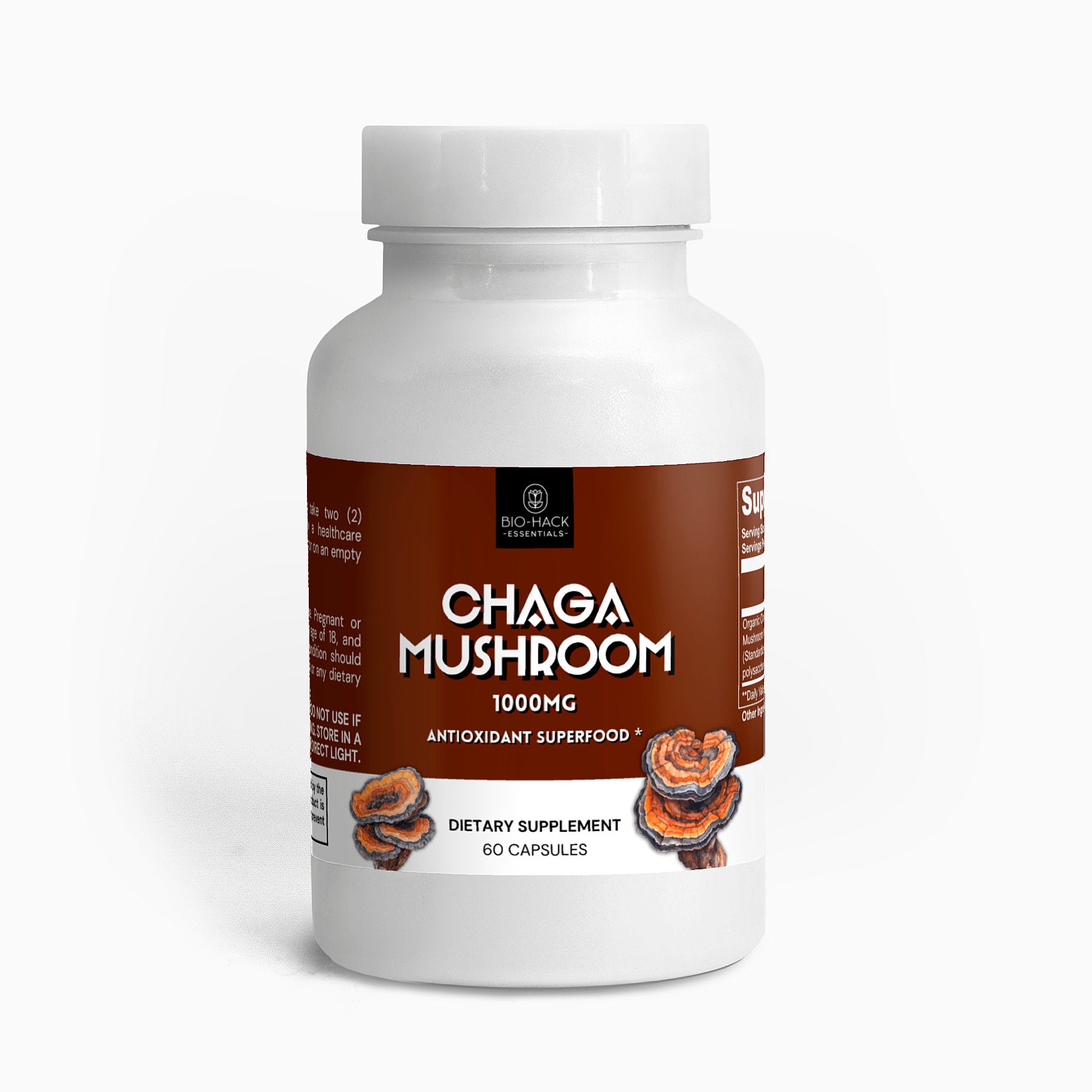 Chaga Mushroom