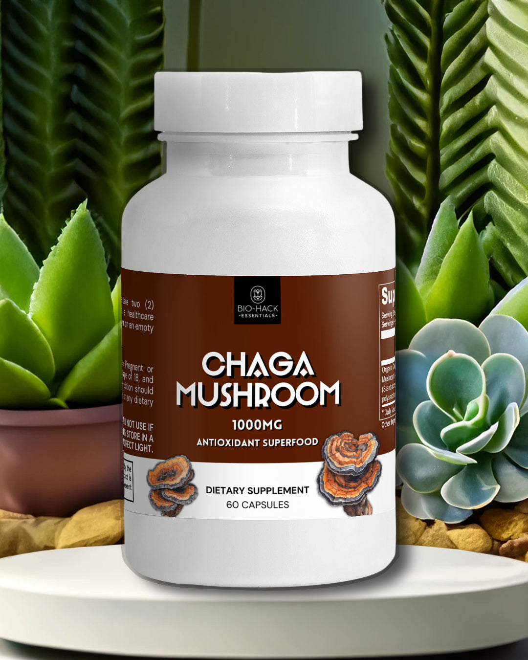 Chaga Mushroom