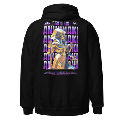 *BACK DESIGN*  Anunnaki Unisex Hoodie