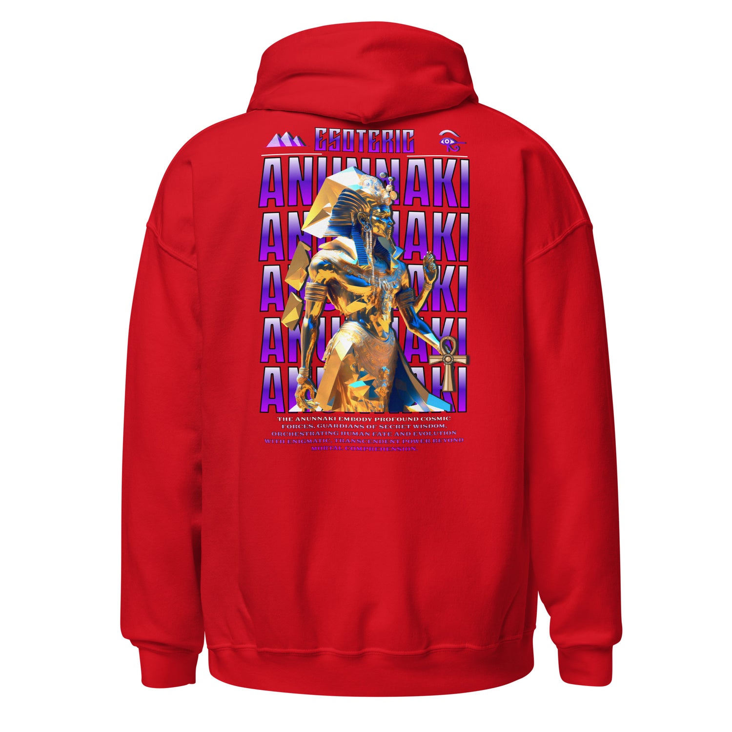 *BACK DESIGN*  Anunnaki Unisex Hoodie