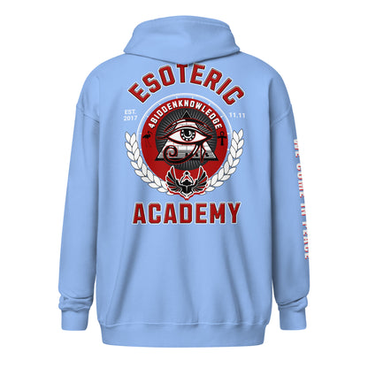 Academy Unisex heavy blend zip hoodie