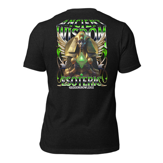 *BACK DESIGN*  Ancient Wisdom Unisex t-shirt