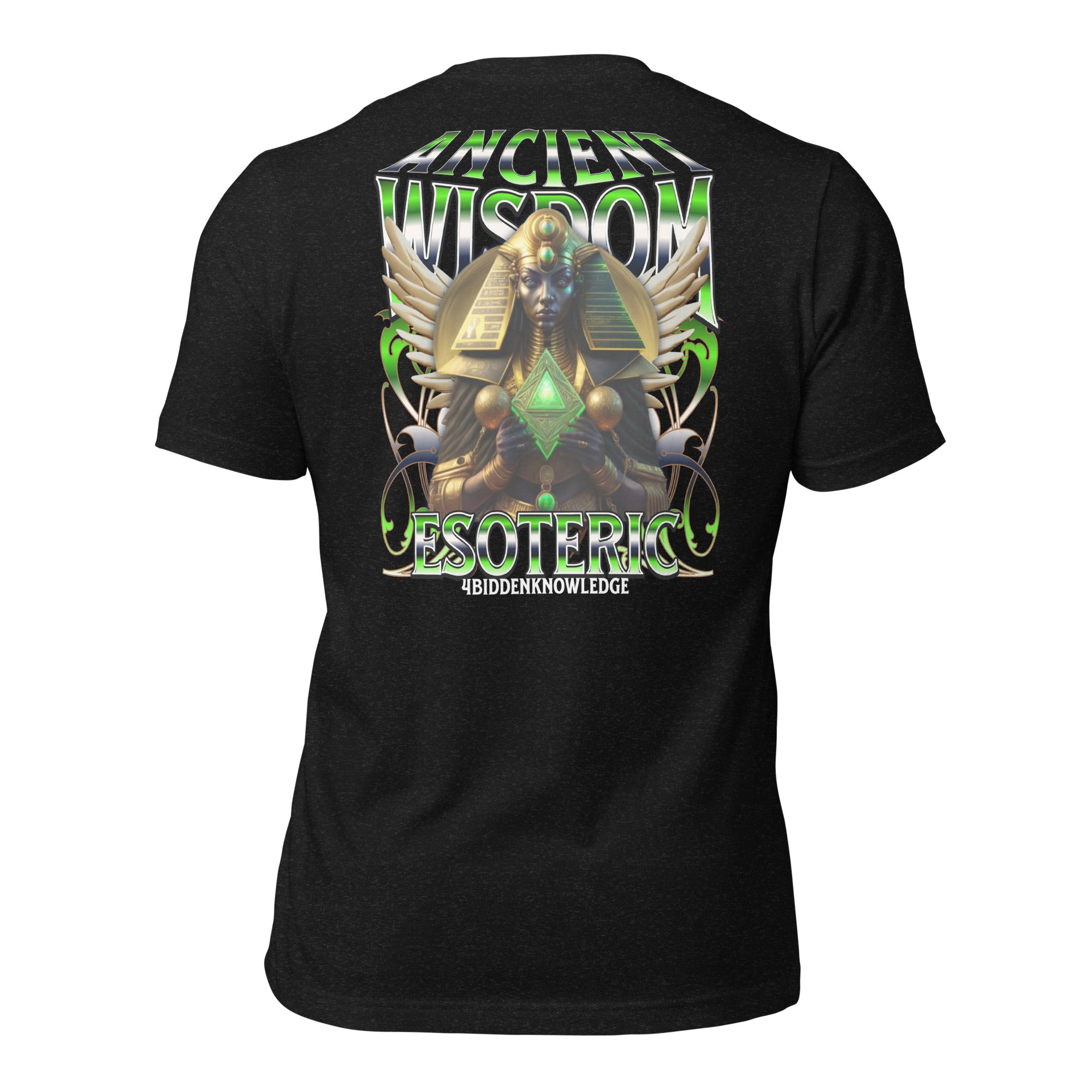 *BACK DESIGN*  Ancient Wisdom Unisex t-shirt