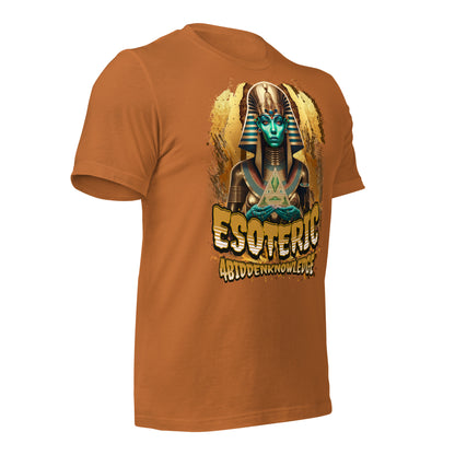 Ancient Wisdom Unisex t-shirt